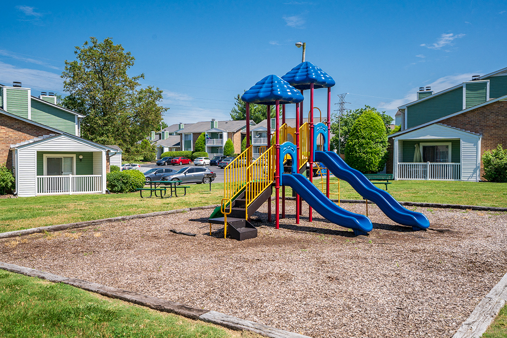 Playground with Picnic Table