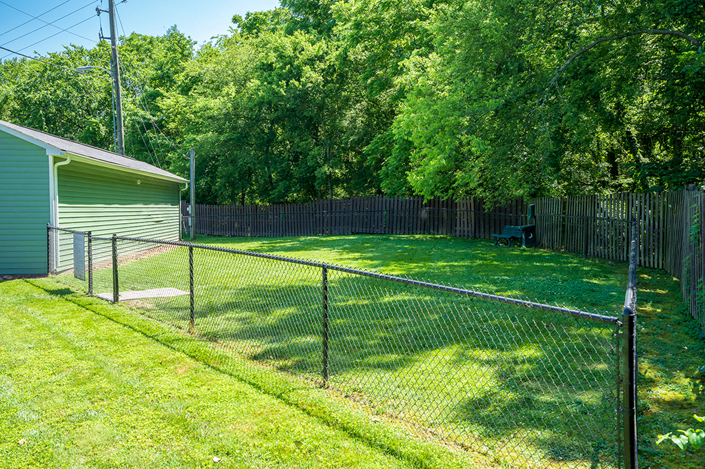 Fenced In Dog Park