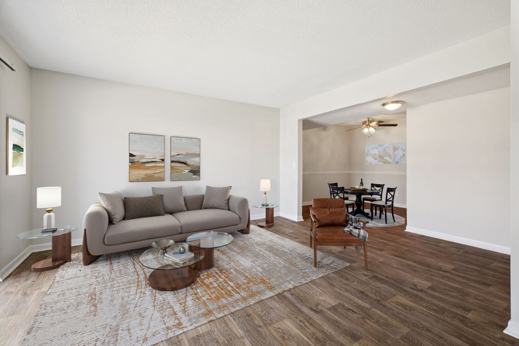 Spacious Living Area With Wood-Style Flooring