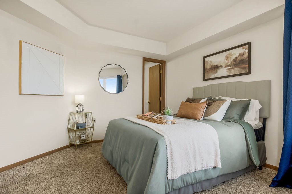 Bedroom with Plush Carpeting