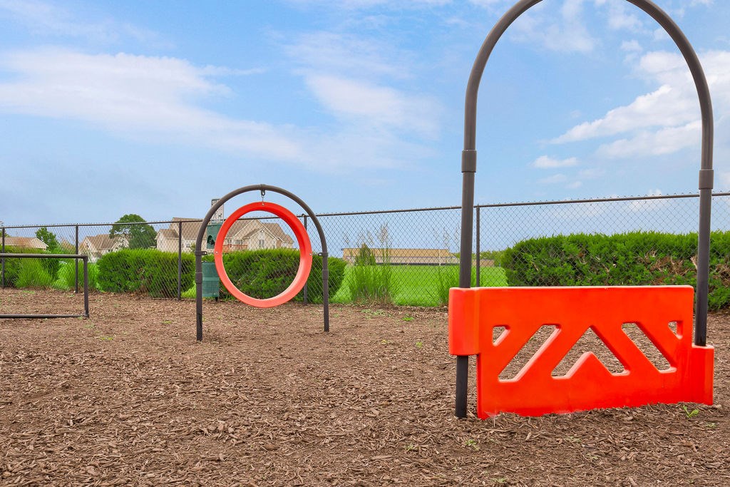 Dog Park with Equipment