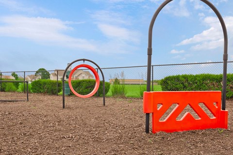Dog Park with Equipment