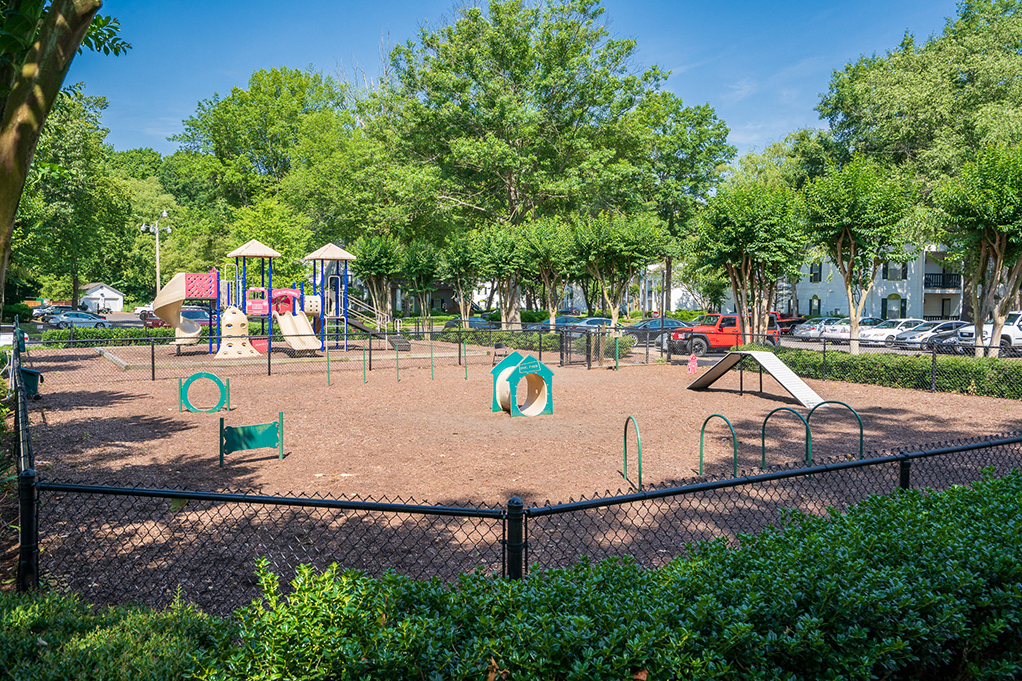 Fenced in Dog Park