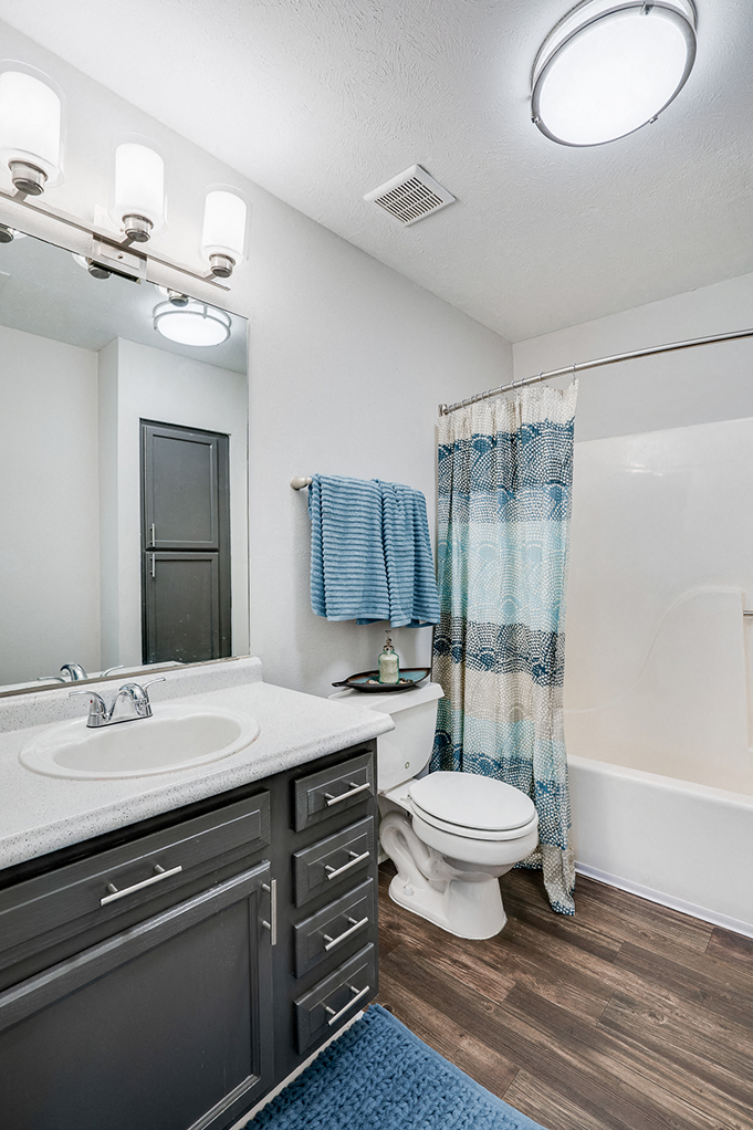 Bathroom with Large Vanity and Shower with Tub