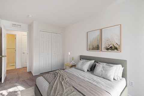 Bedroom with Plush Carpeting