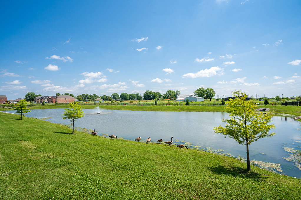 Large Pond Area with Fountain