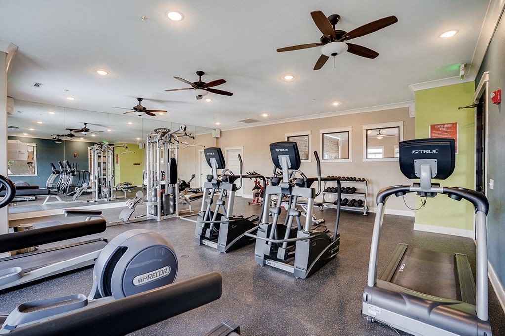 Treadmills and Elliptical Equipment