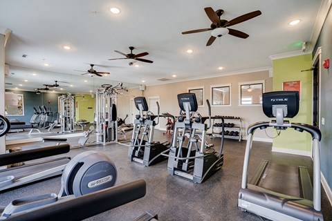 Treadmills and Elliptical Equipment