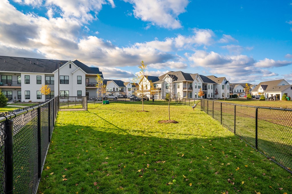 Fenced-In On-Premise Dog Park