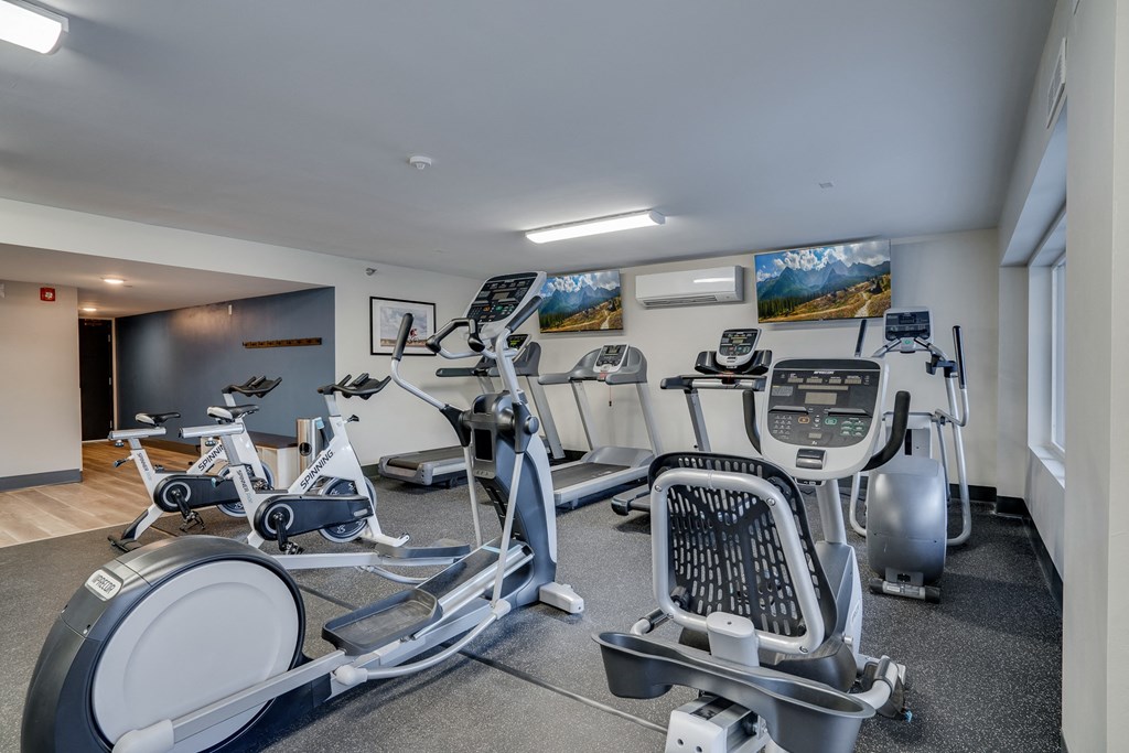 Stationary Bikes, Treadmill and Elliptical Machines