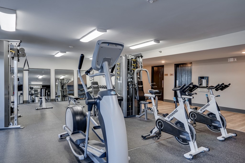 Fitness Center with Large Mirrors near the Free Weights