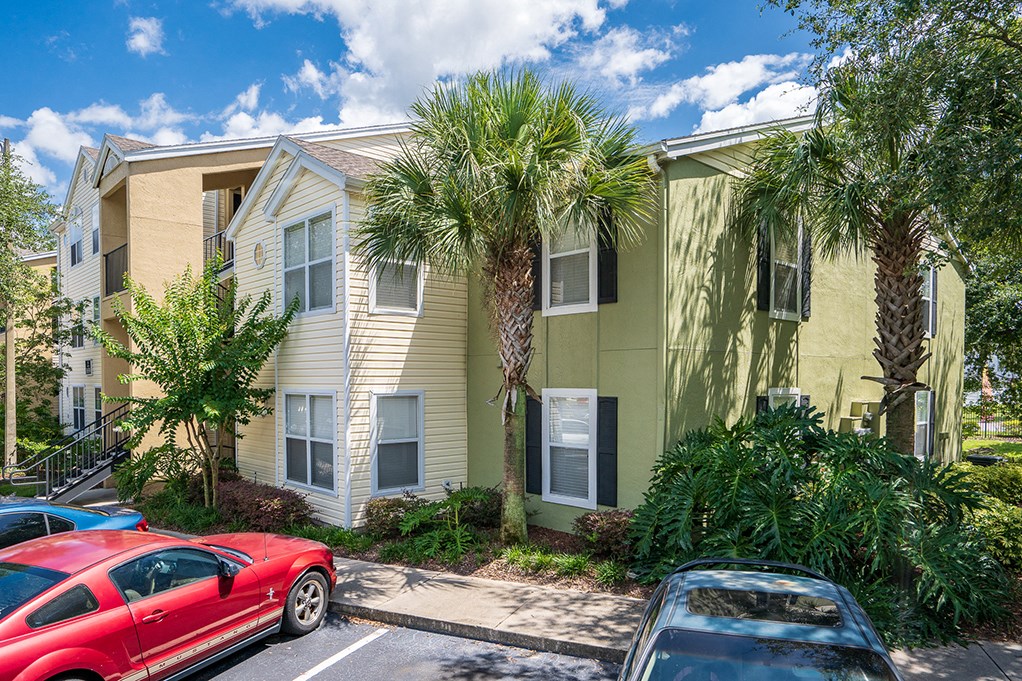 Large Palm Trees in Front of an Apartment Building