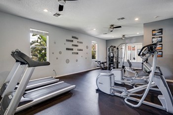 Cardio Equipment at the 24-Hour Fitness Center - Photo Gallery 24
