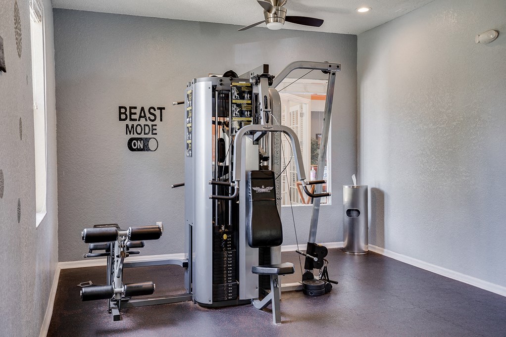 Weight Machine in the 24-Hour Fitness Center