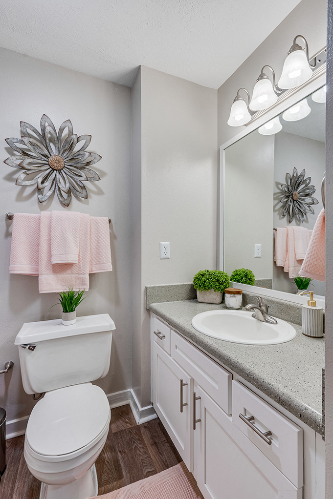 Large Bathroom Vanity with White Cabinetry
