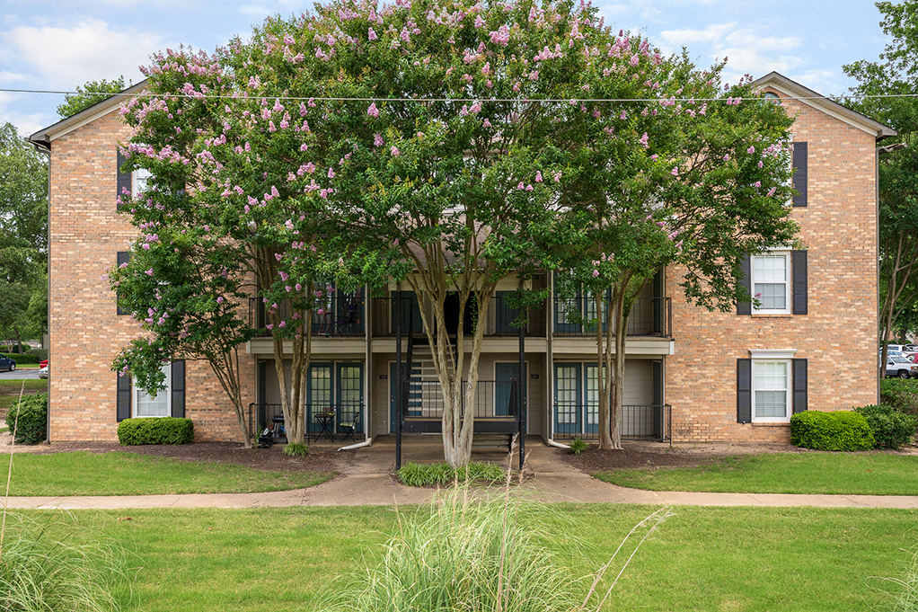 Lush Greenery in Front of a building at The DeSoto
