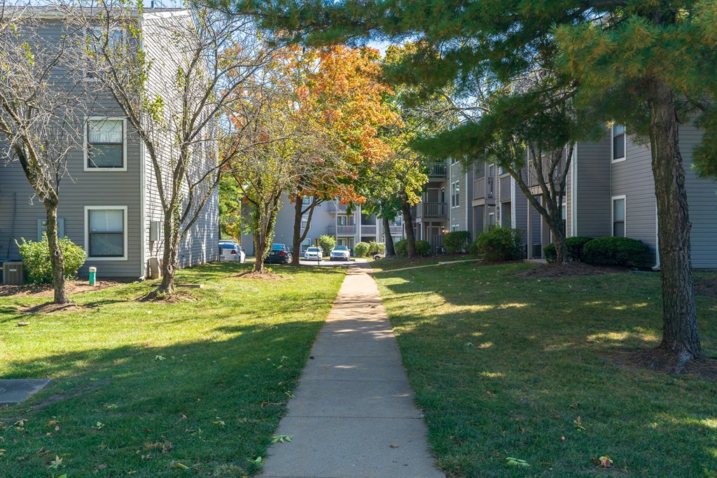 Walking Path through The Finn Community