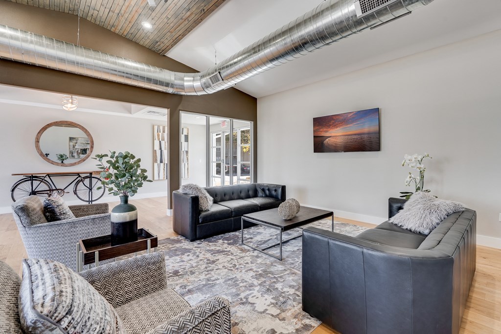 Clubhouse Lounge with Mounted Flat Screen