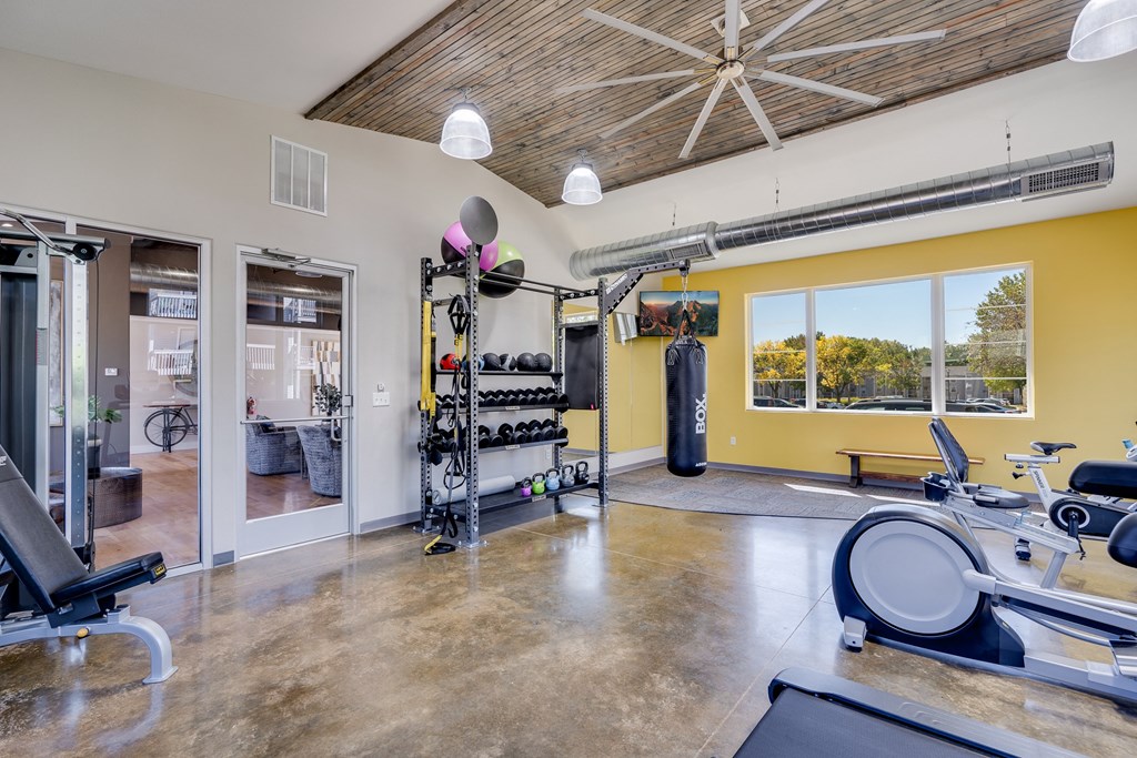 Free Weights at the Fitness Center