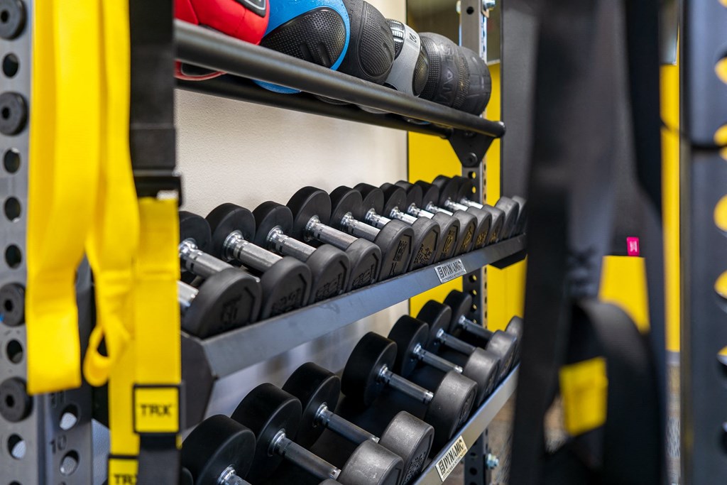 Free Weights and TRX Bands at the Fitness Center