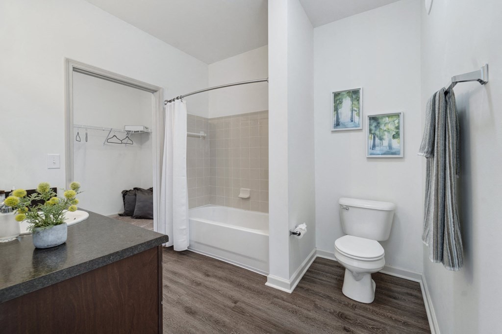 Bathroom with Modern Finishes