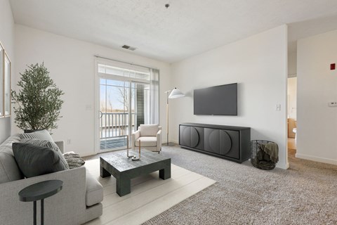 Living Room with Plush Carpeting
