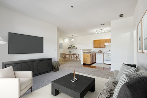 Living Room with Plush Carpeting