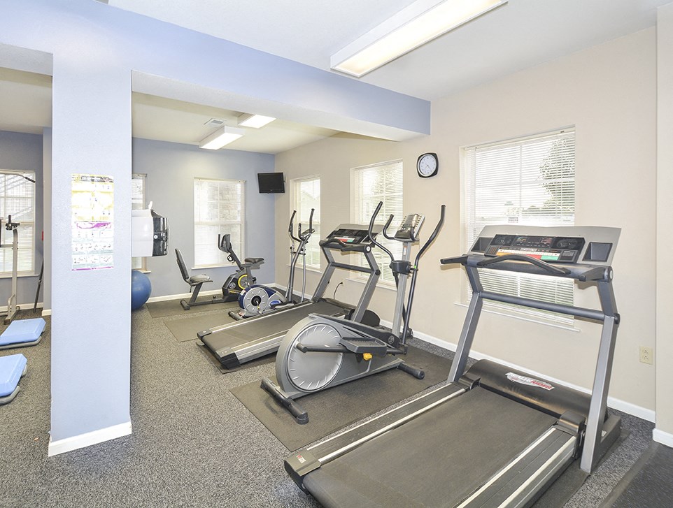 Treadmill Machines and Elliptical Equipment