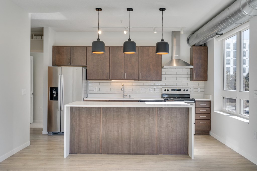 Kitchen with Premium Fixtures and Finishes