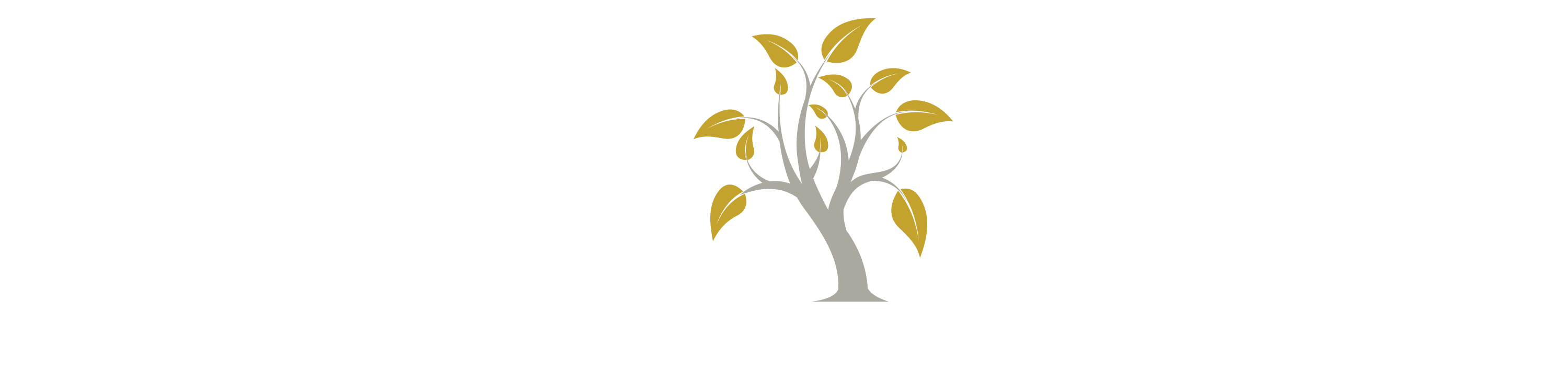 Vincent Woods Logo Transparent