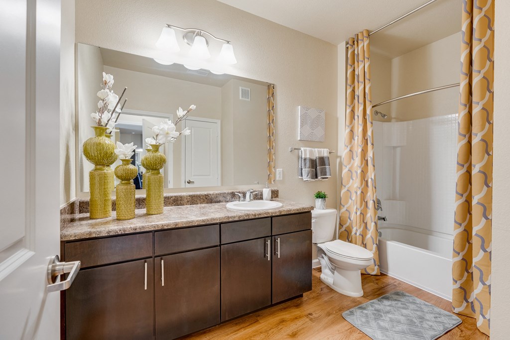 Bathroom With Large Espresso Vanity & Shower With Tub