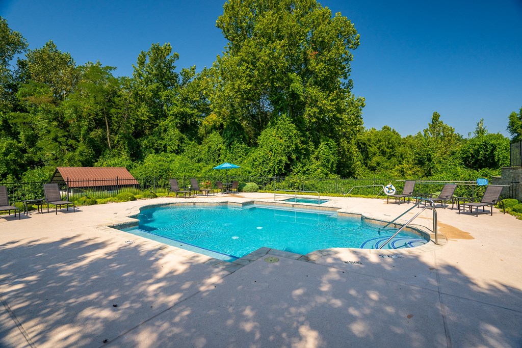Spacious Pool Sundeck Surrounded By Lush Trees & Landscaping