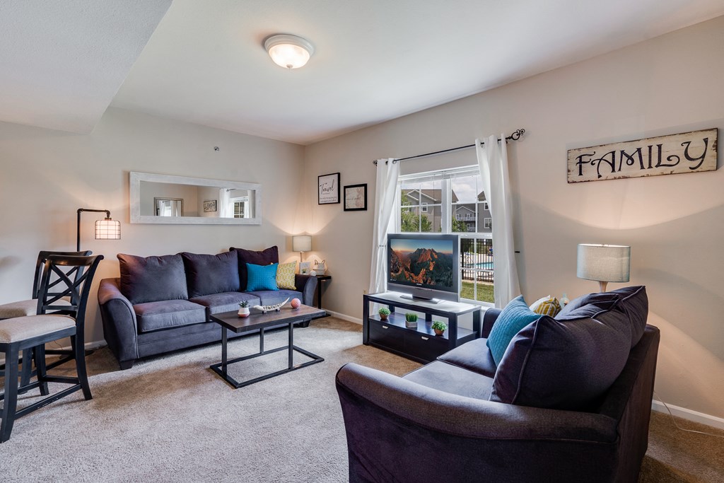 Spacious Living Room with Lots of Natural Light