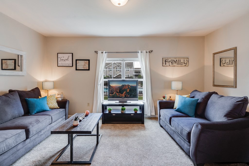 Living Room with Lots of Natural Light
