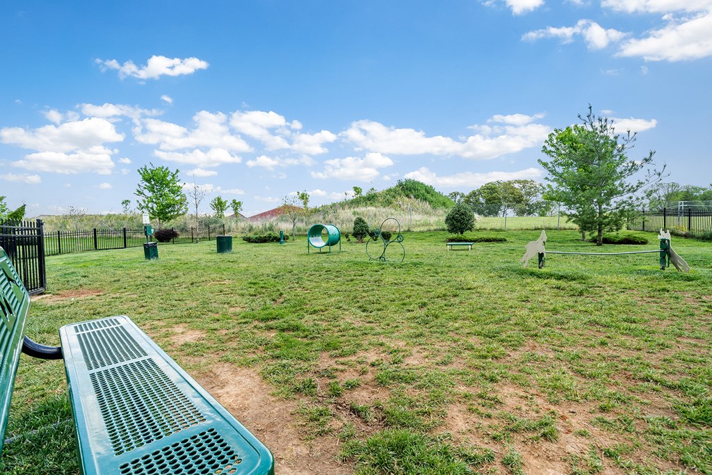 Spacious Dog Park