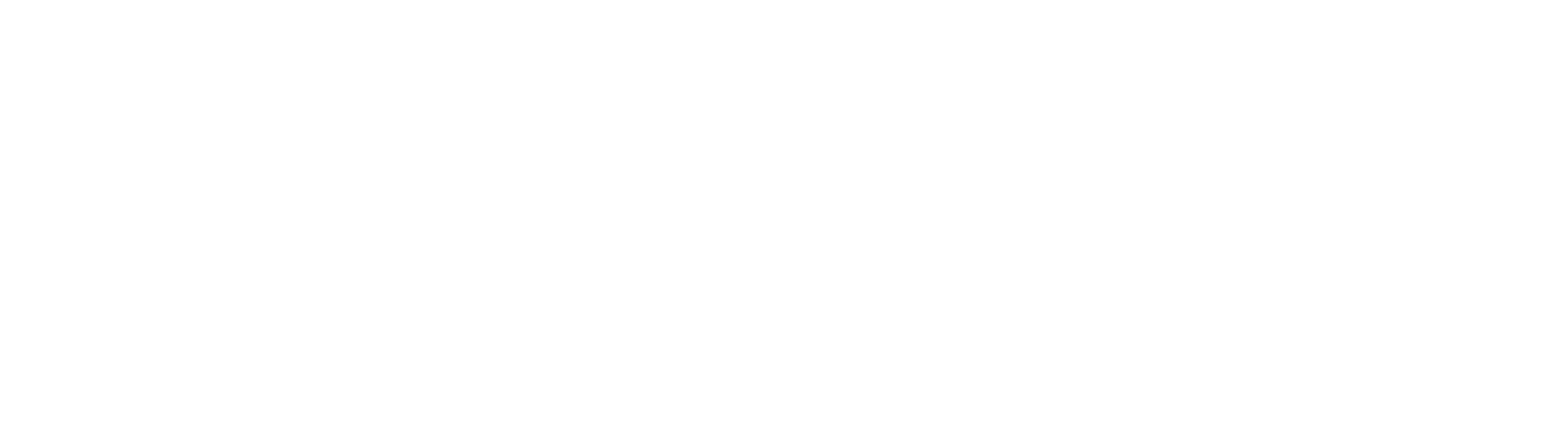 The image shows a black and white graphic with the letters "THE FINN".