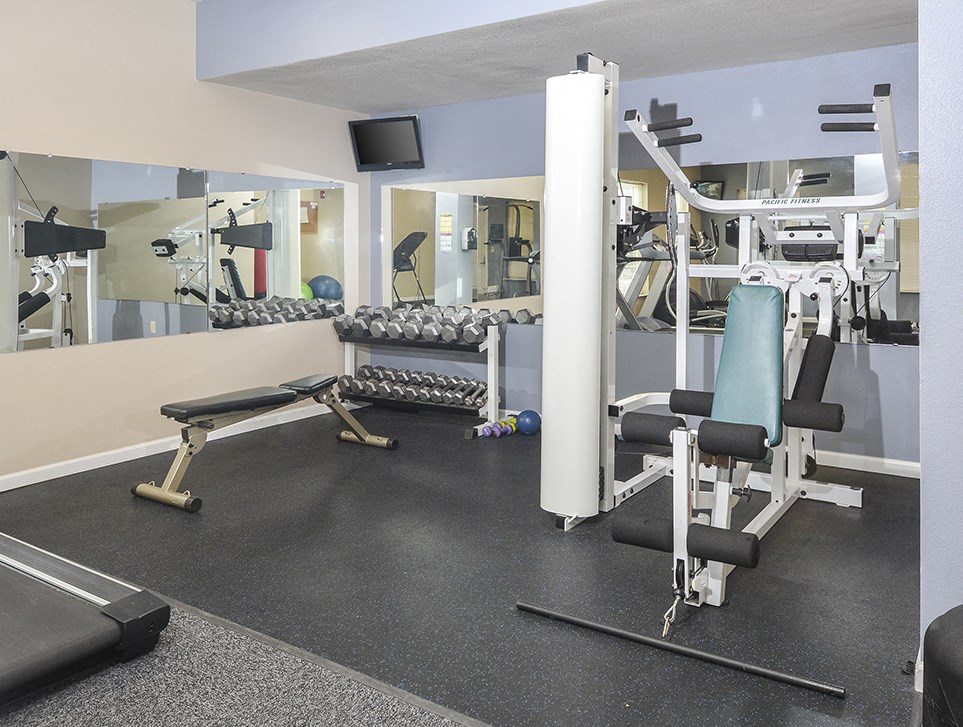 Free Weights and Cardio