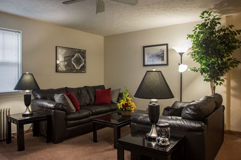 a living room with couches and lamps and a plant