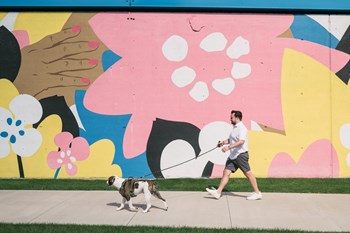 Man walking dog on bike path in front of brightly colored mural - Photo Gallery 32