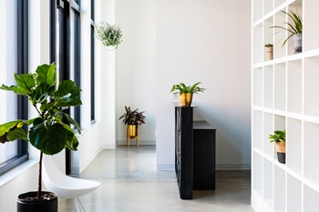 Check-in desk at The Mill gym with many potted plants and a wall of cubbies - Photo Gallery 23