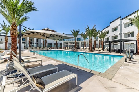 A pool surrounded by palm trees and lounge chairs.