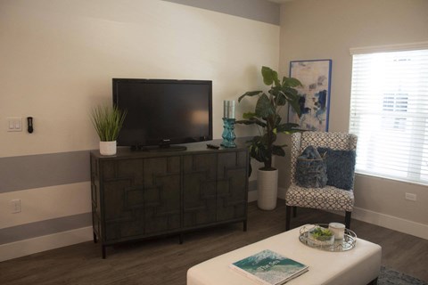 A living room with a television on a cabinet and a chair with a blue and white pattern.
