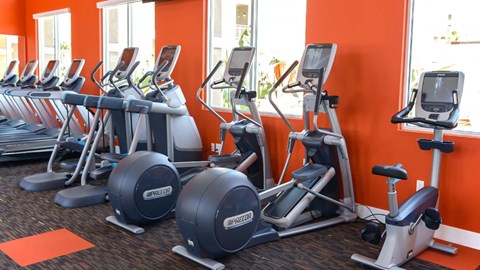 Pet-Friendly Apartments in Redlands, CA - Circa 2020 - Fitness and Conditioning Center Featuring Cardio Equipment, Ellipticals, Treadmills, Exercise Bikes, Gym Matting Flooring, and Large Windows.