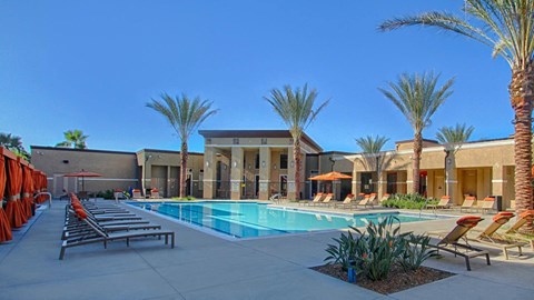 A pool area with sun loungers and palm trees.