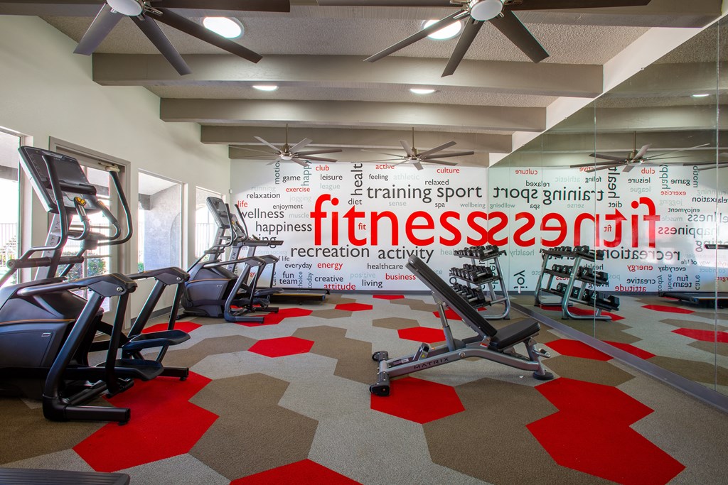 Cardio Equipment at The Vintage Apartments, Tucson