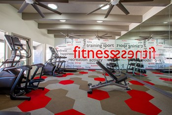 Cardio Equipment - Photo Gallery 5
