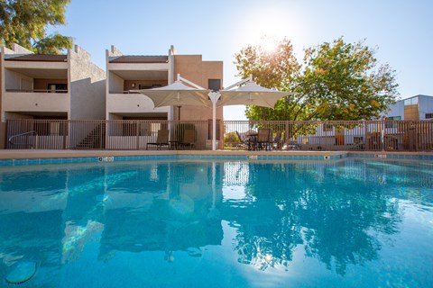 A swimming pool at Ascent on Spence, Tempe Arizona