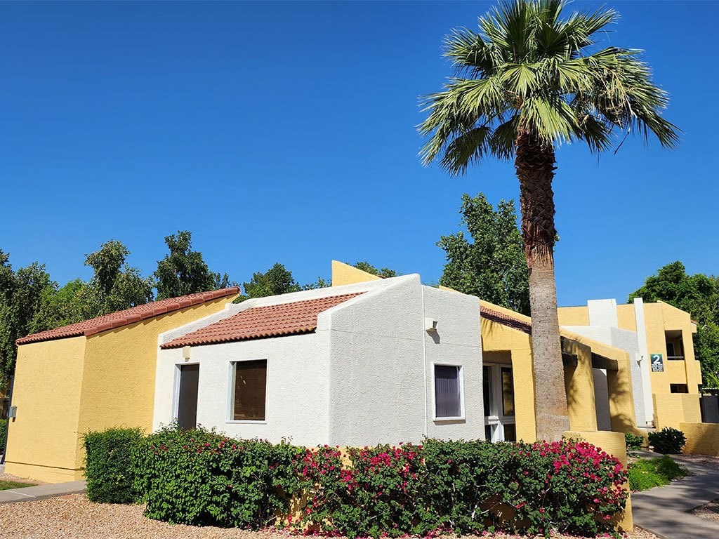 a house with a palm tree in front of it