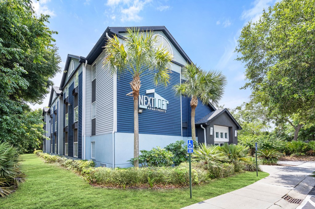 palm trees at Nextloft in Bluffton, South Carolina
