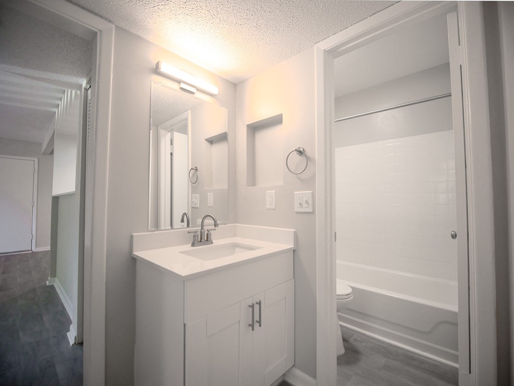 a bathroom with a sink and a mirror and a shower